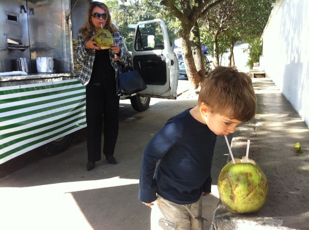 photo coconut water in Brazil