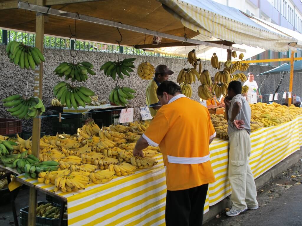 033 Brazilian bananas