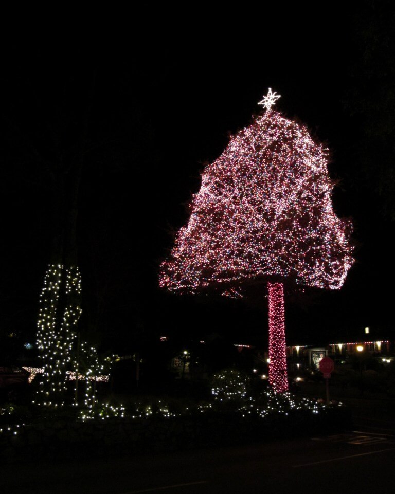 carmel 094 Carmel Christmas lights