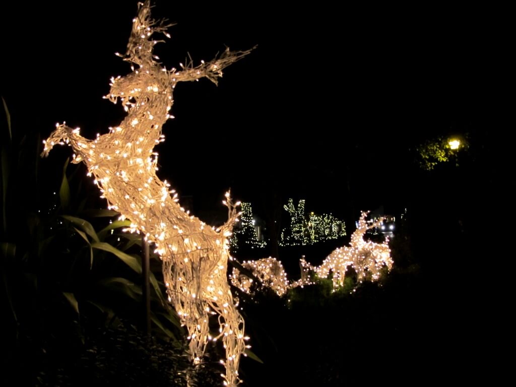 carmel 096 Christmas decorations Carmel