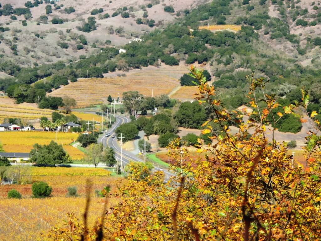 napa 014 Silverado Trail