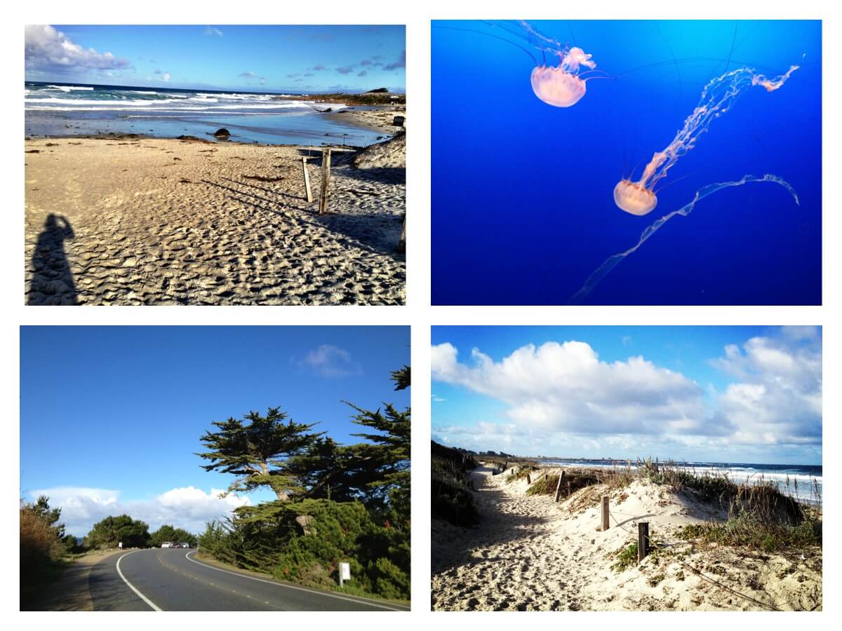 california coast