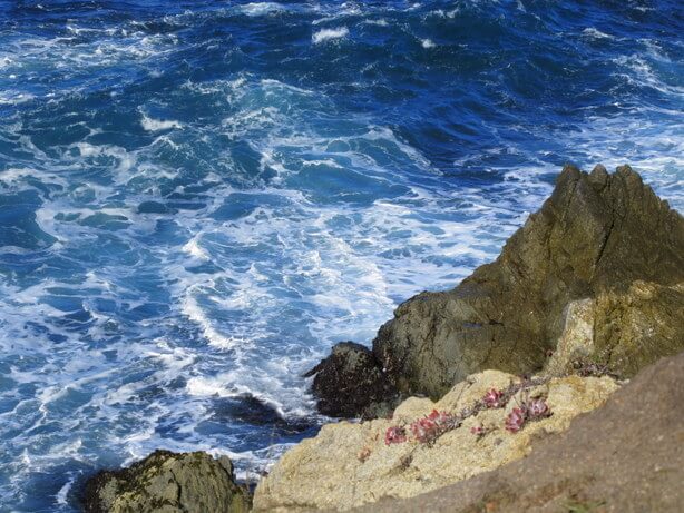 Point Lobos Point Lobos