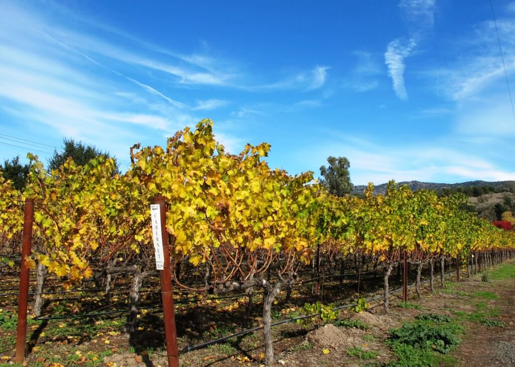 25 Best Things to Do in Napa Valley