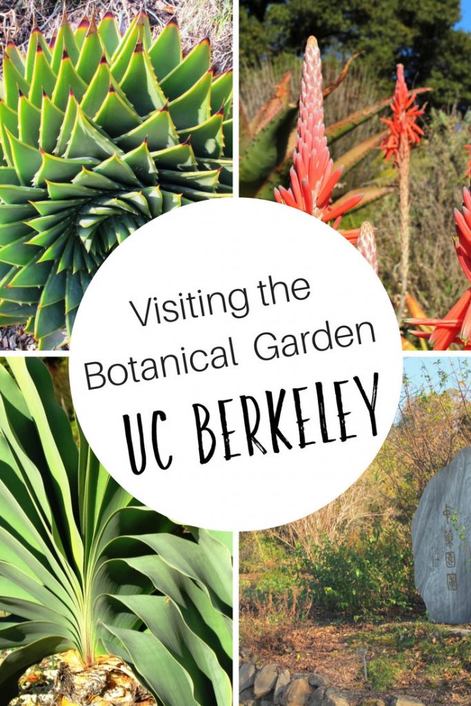 Visiting the UC Berkeley Botanical Garden