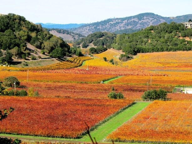 Napa Valley winery with views