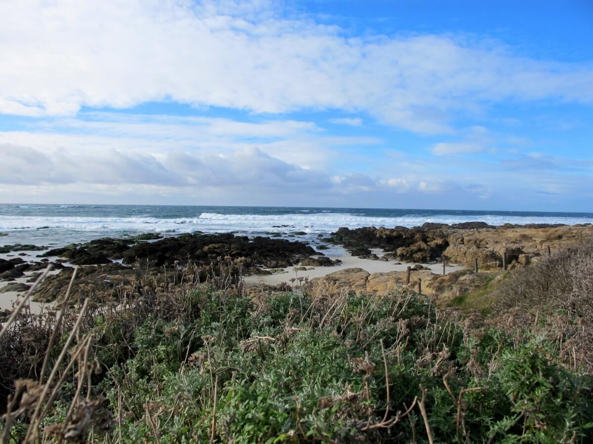 Asilomar State Beach at Dusk: A Photo Essay