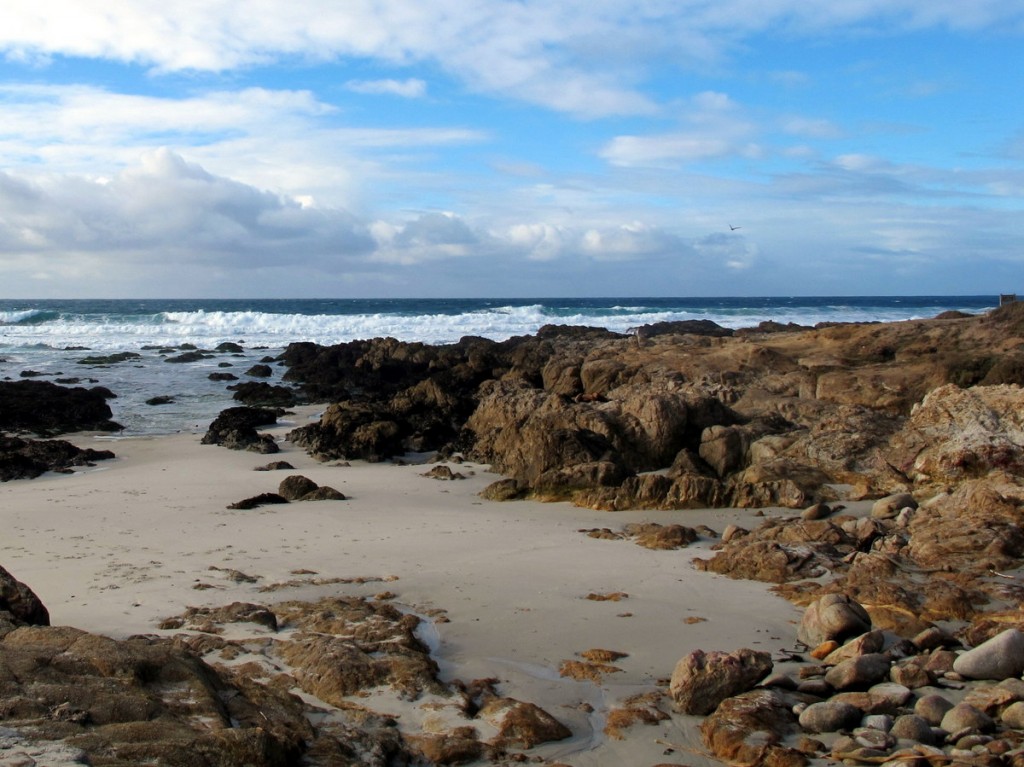 Asilomar State Beach at Dusk: A Photo Essay