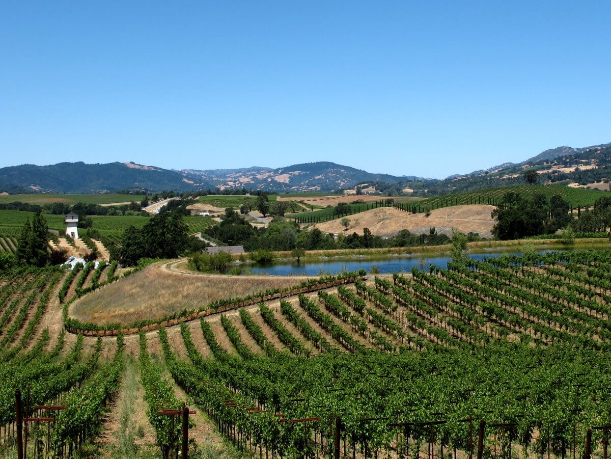 Boutique wineries in Northern California