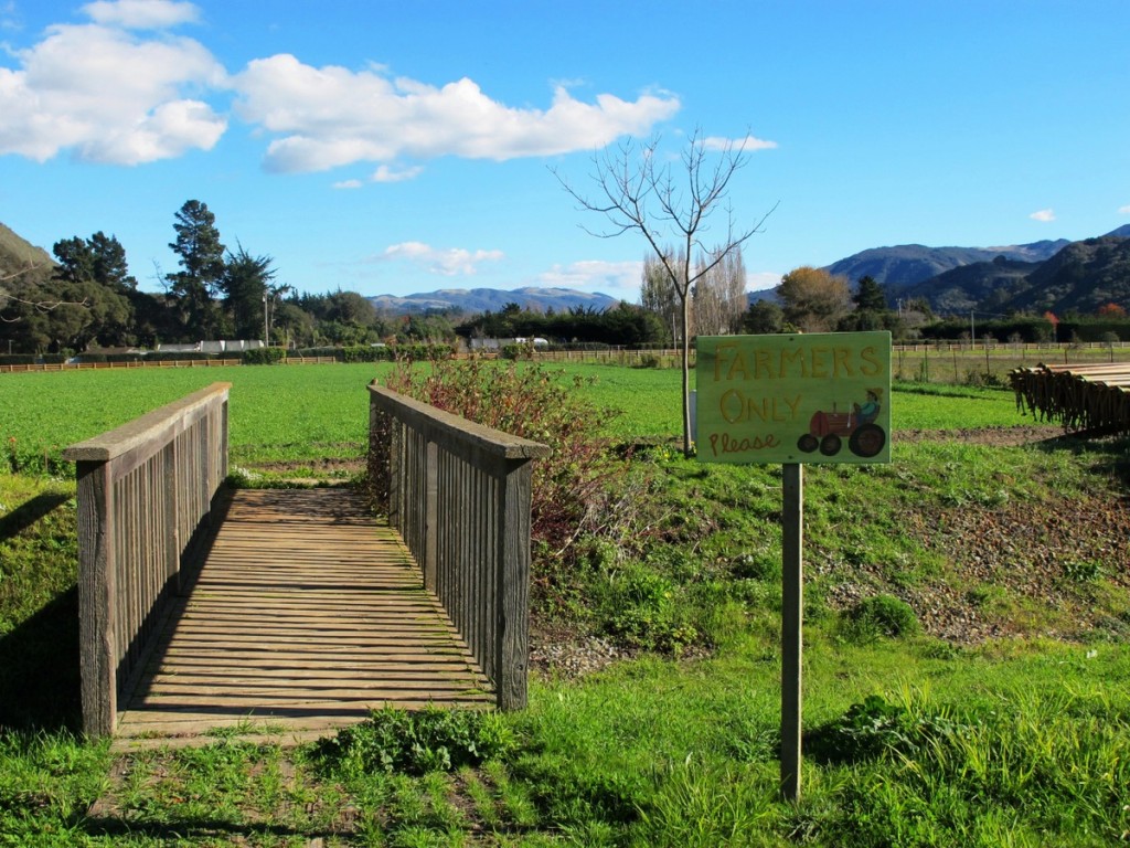 organic farms