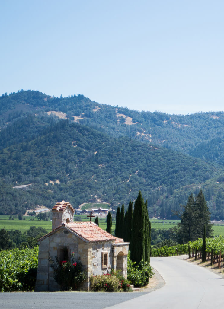 Budget travel tips for Napa Valley