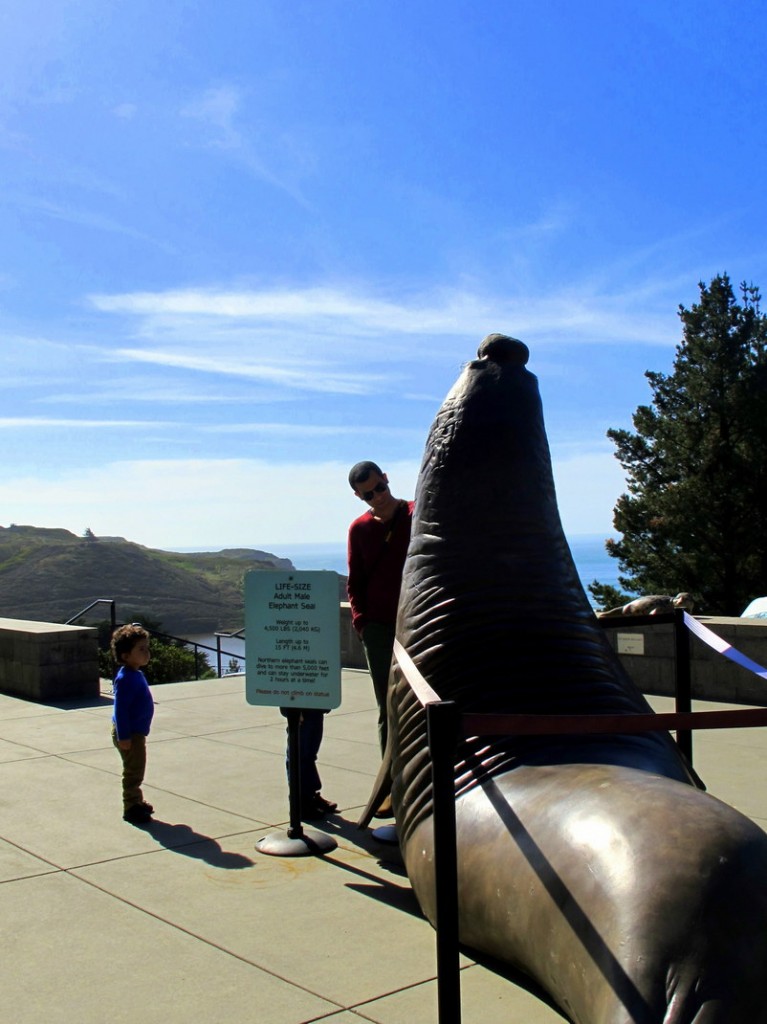 Things to do in San Francisco with Kids