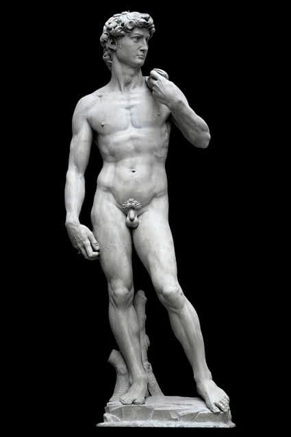 The David Statue: The Story Behind Michelangelo’s David
