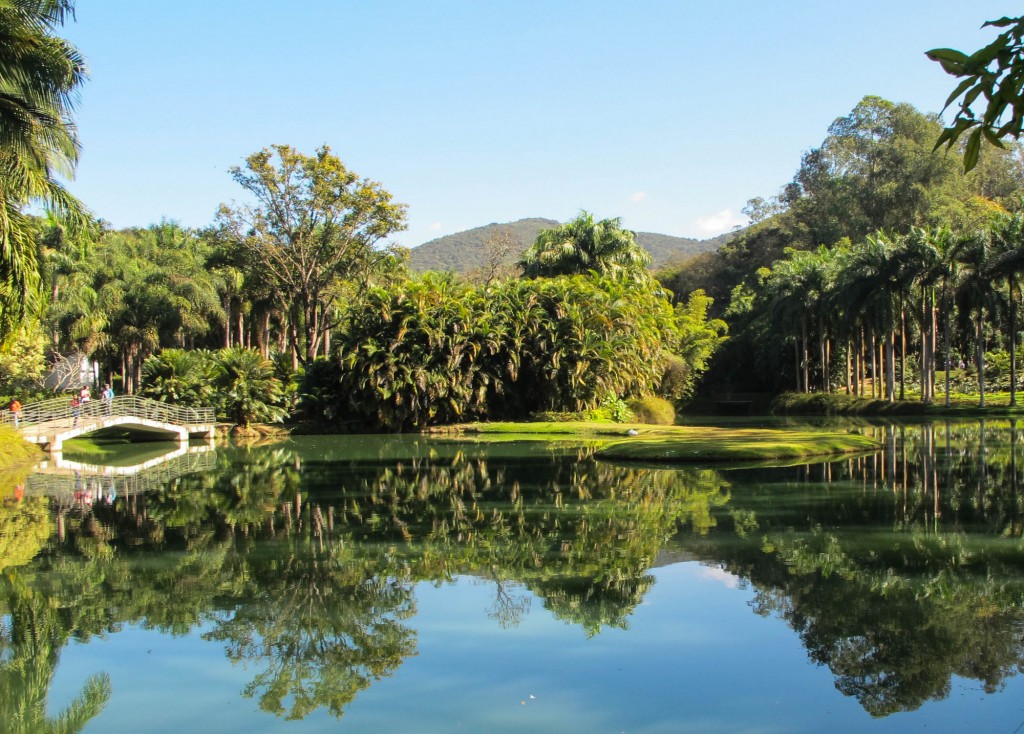 What to do in Minas Gerais: The Gardens at Inhotim