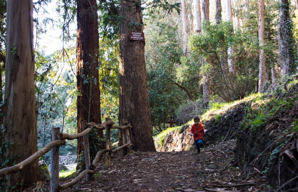 Where to hike in San Francisco with kids