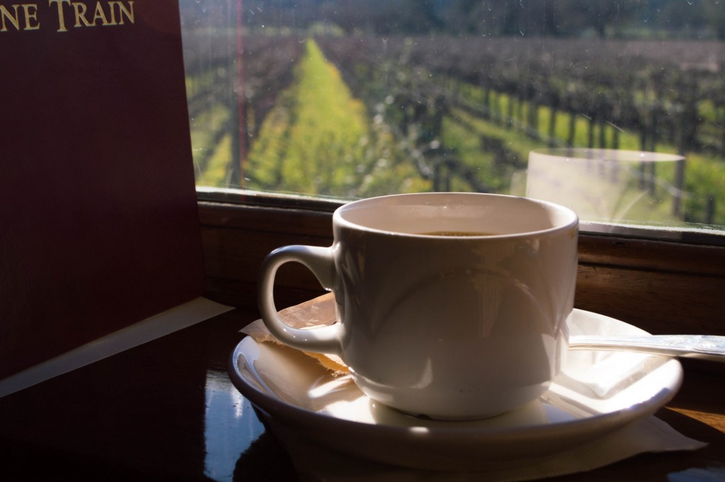 Views from the Napa Wine Train