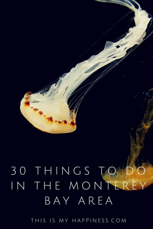 What to do in Monterey & Carmel