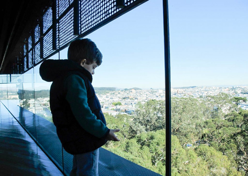 San Francisco Museums with Kids