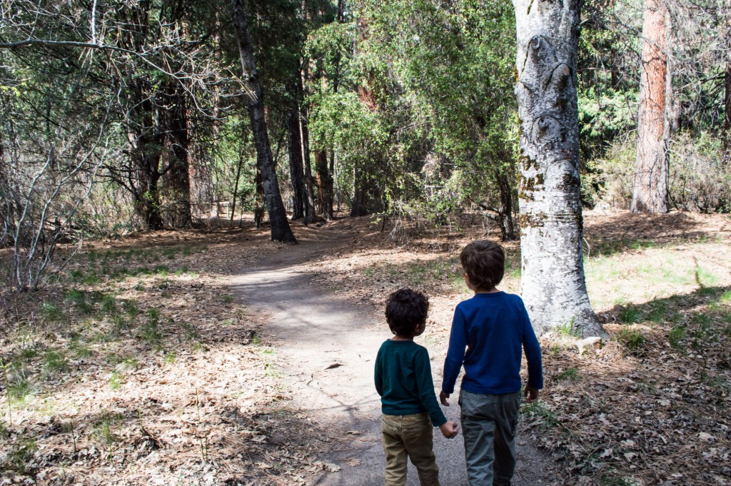 Hikes in Yosemite with Kids | This Is My Happiness