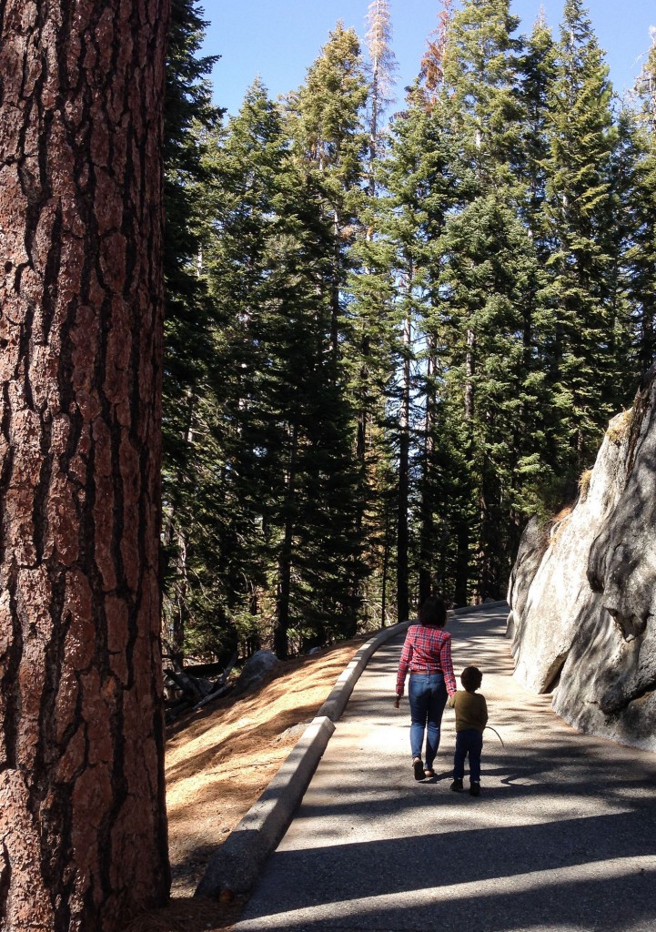 Easy Yosemite Hikes with Kids