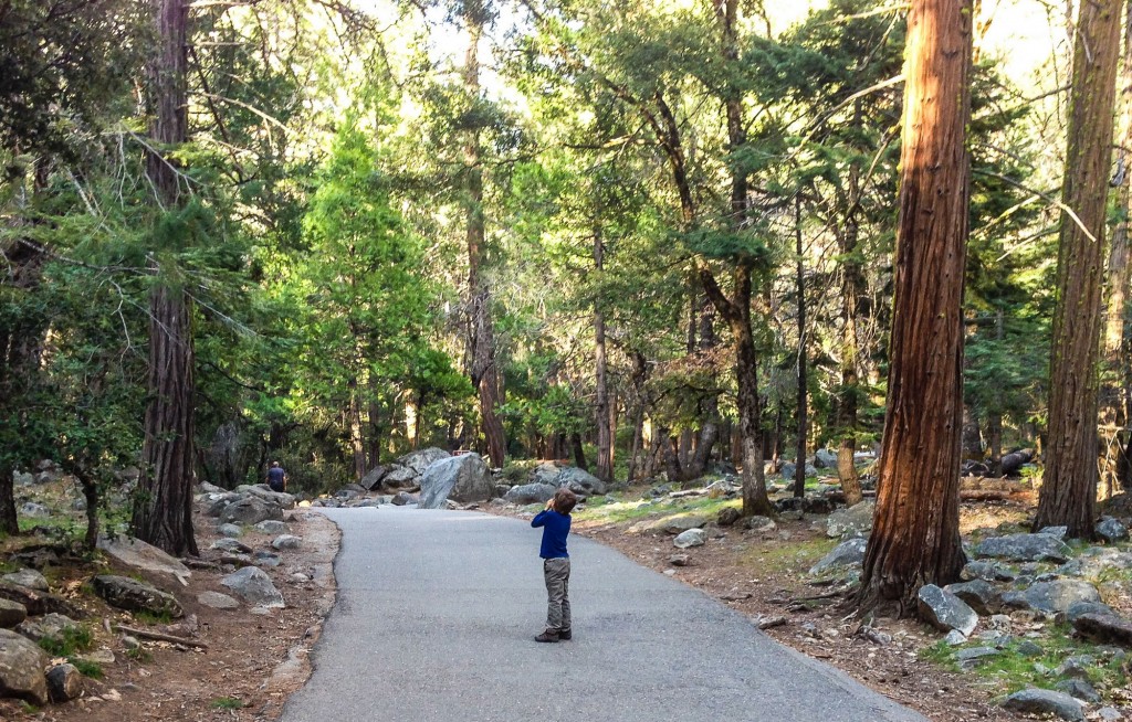 Hikes in Yosemite with Kids | This Is My Happiness