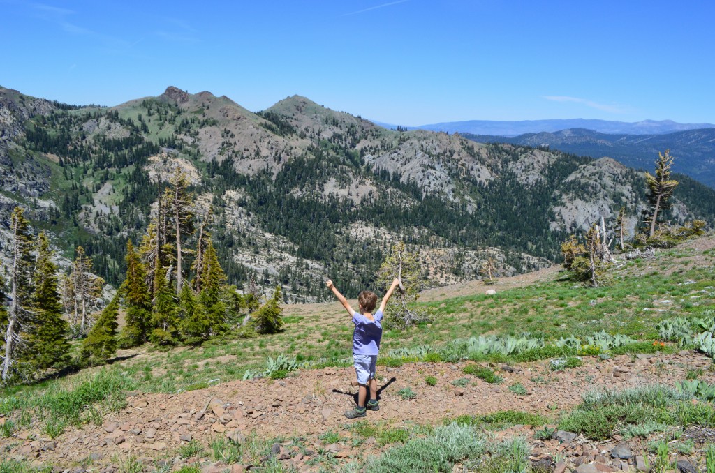 What to do in Northern California | This Is My Happiness