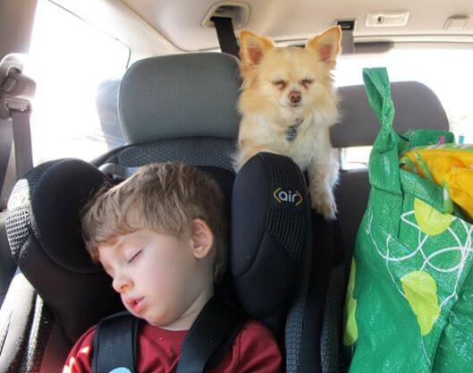 Best carseat for road trips