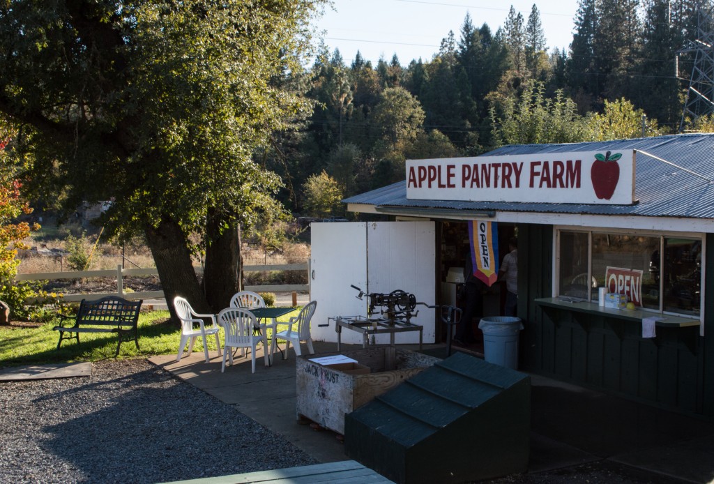 Day Trip to Apple Hill | This Is My Happiness