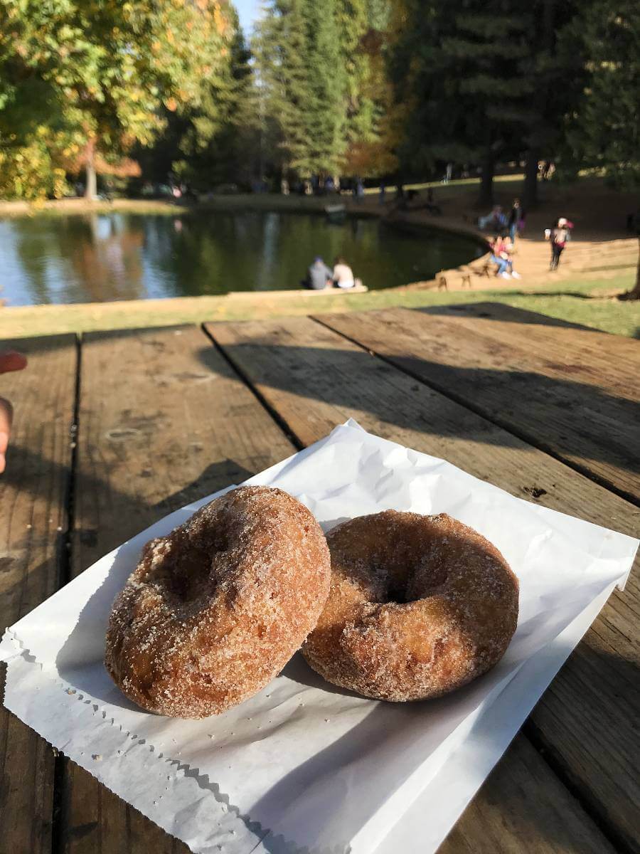 day trip to Apple Hill