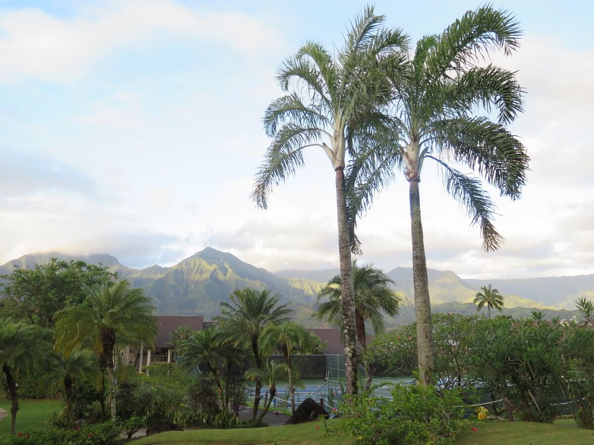 30 Things to do in Kauai, Hawaii