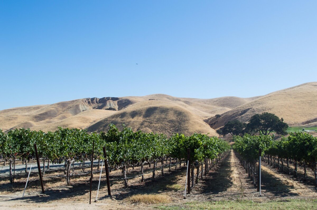 Wineries Livermore Valley
