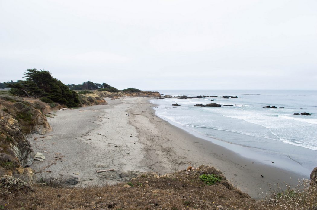 What to Do at the Sea Ranch