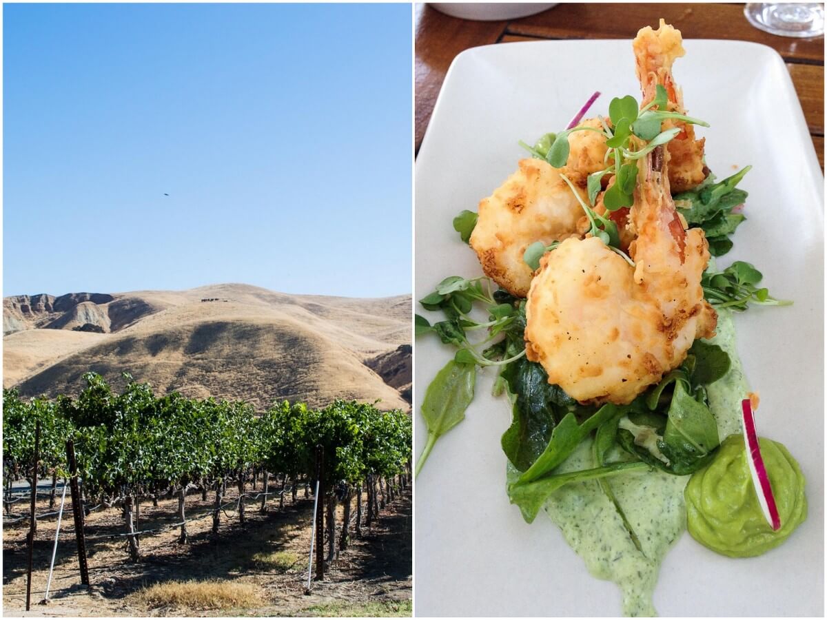 Wente Vineyards Livermore Valley: Livermore Valley Day Trip