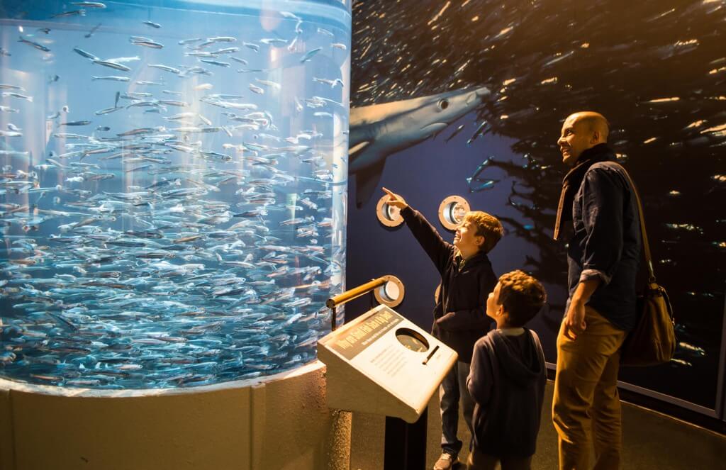 Pier 39 Aquarium