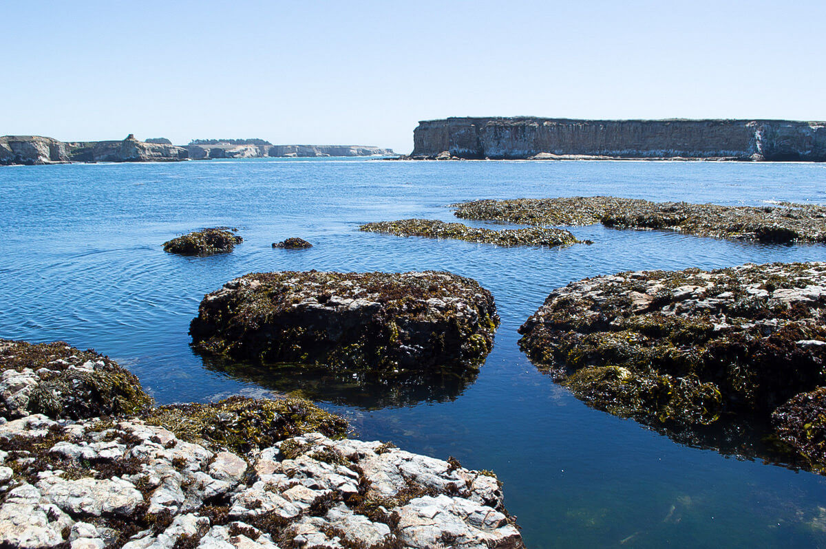 Where to go Point Arena: Stornetta Public Lands