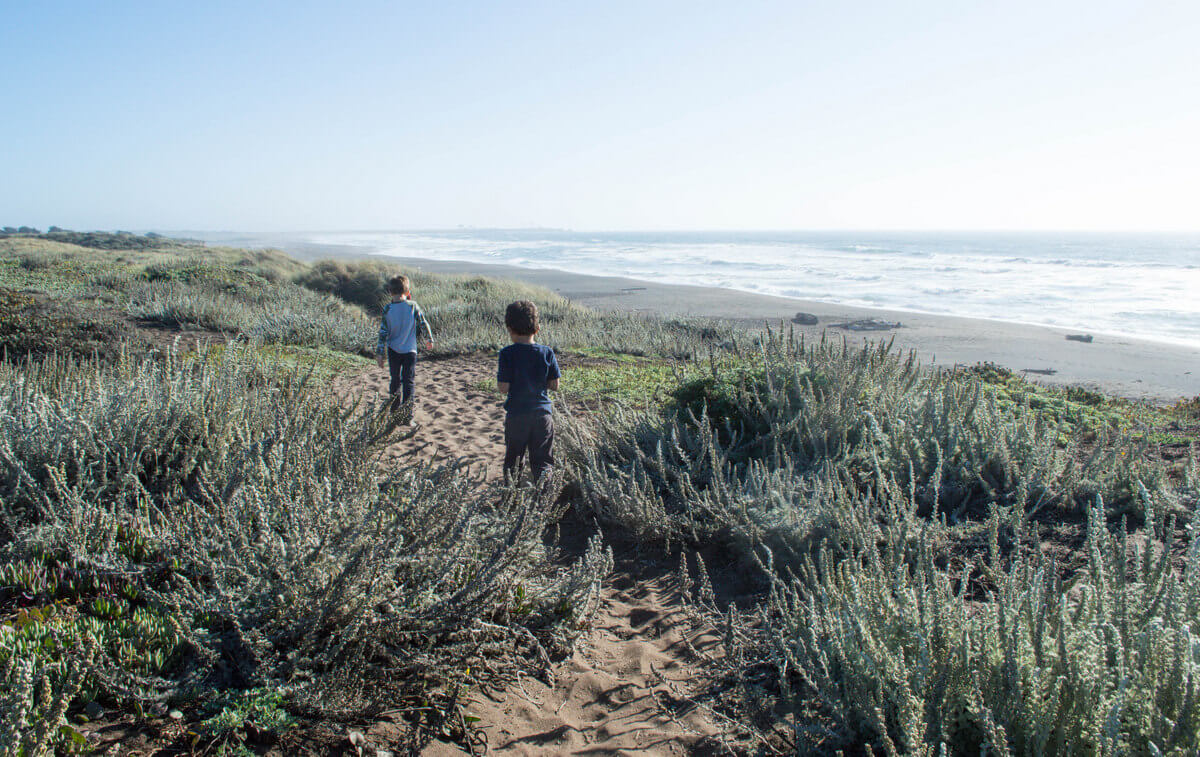 What to do Point Arena Mendocino County with kids