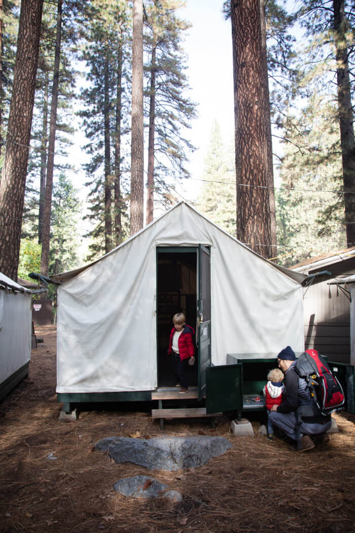 Affordable Family Vacations in Northern California