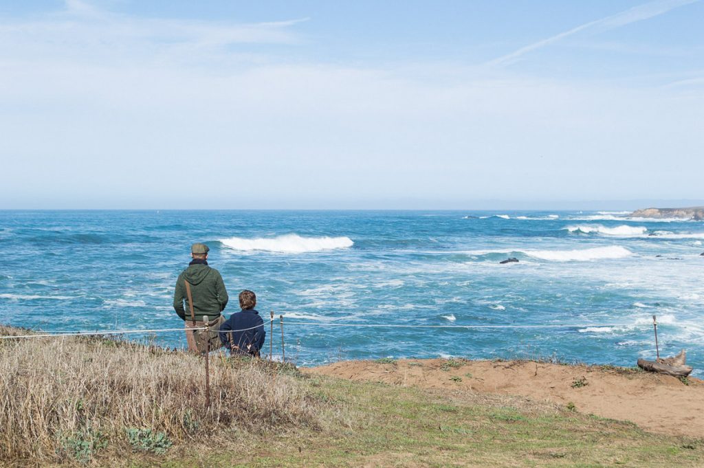 What to do in Mendocino with kids