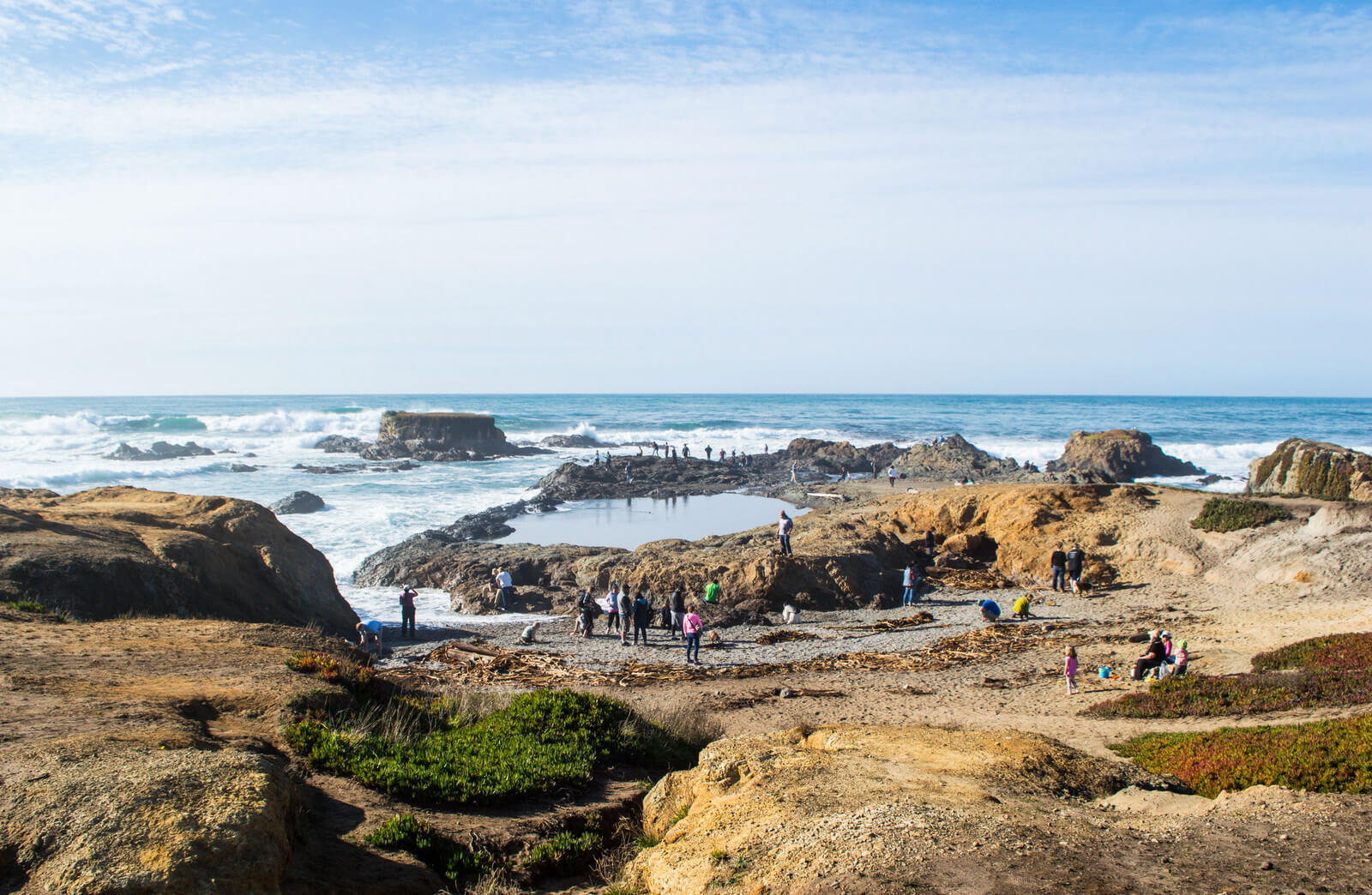 Free Things to Do in Northern California