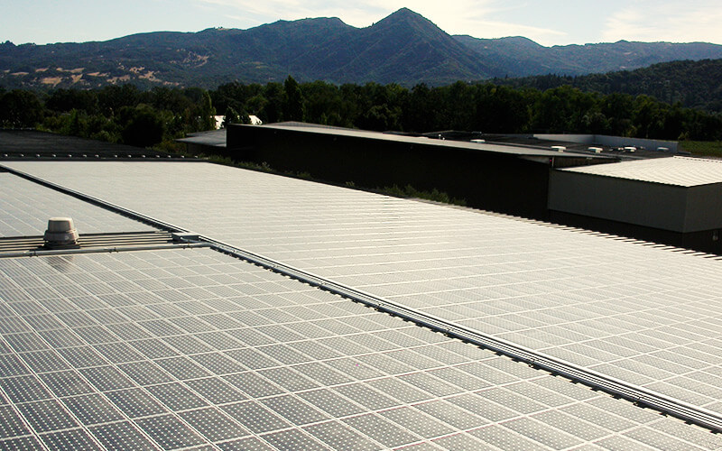 solar panels at winery