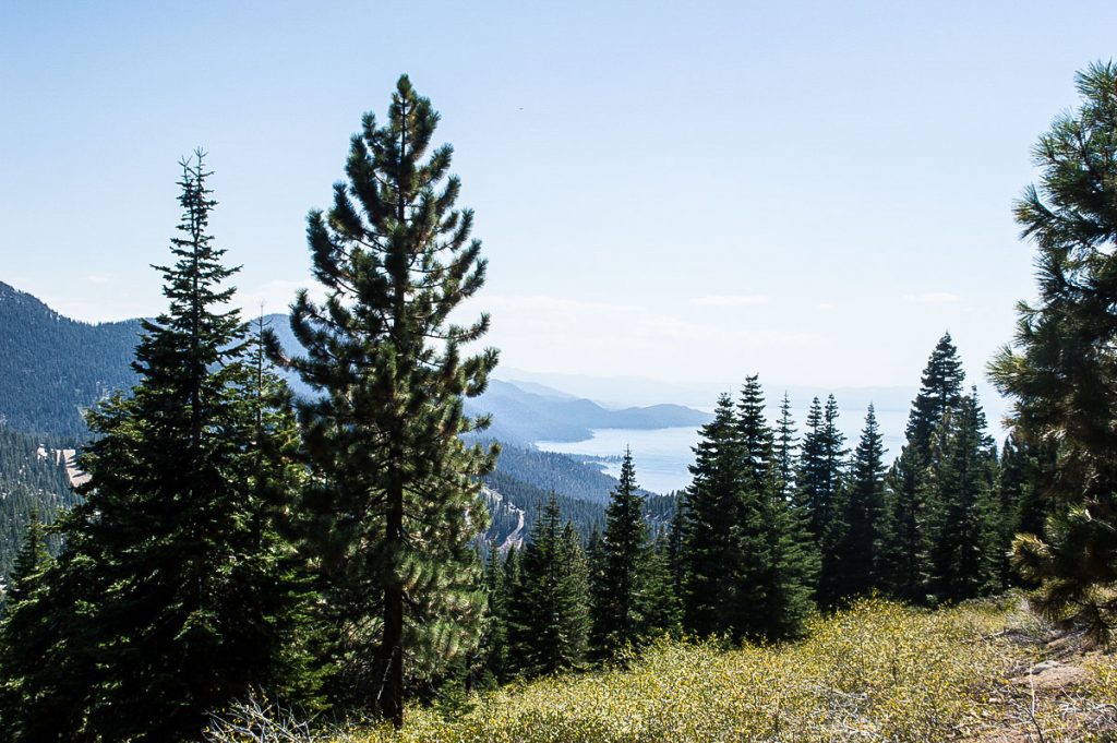 Hiking trail North Lake Tahoe