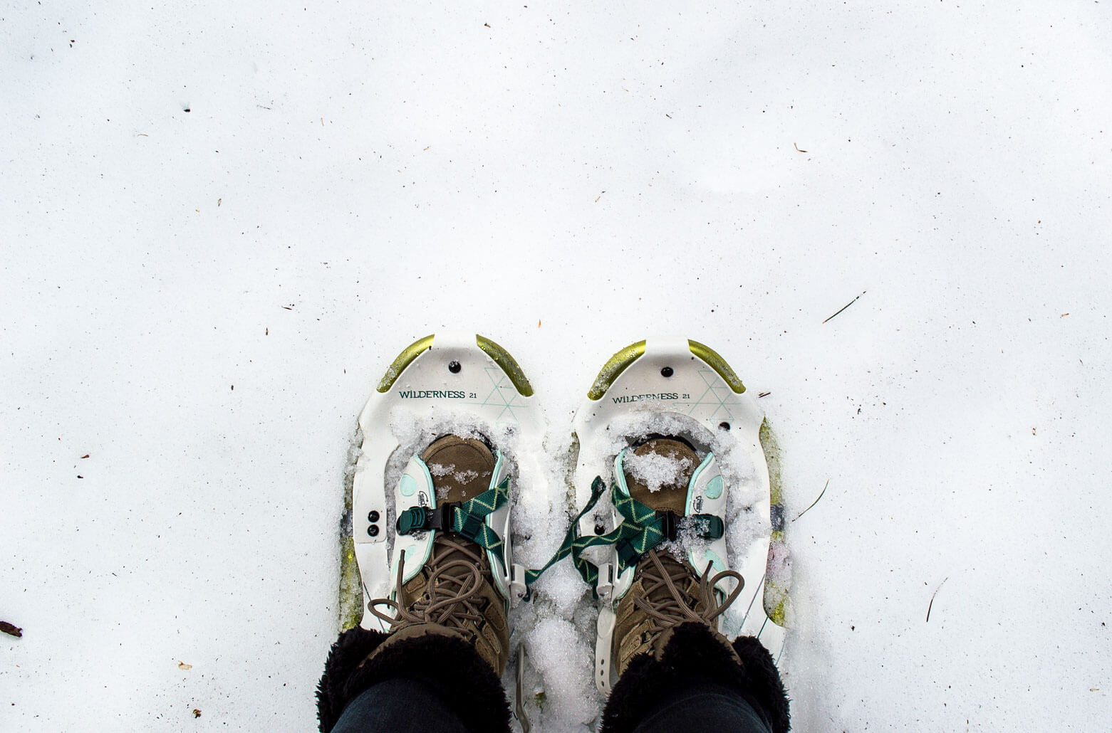 Snowshoeing Tahoe Truckee