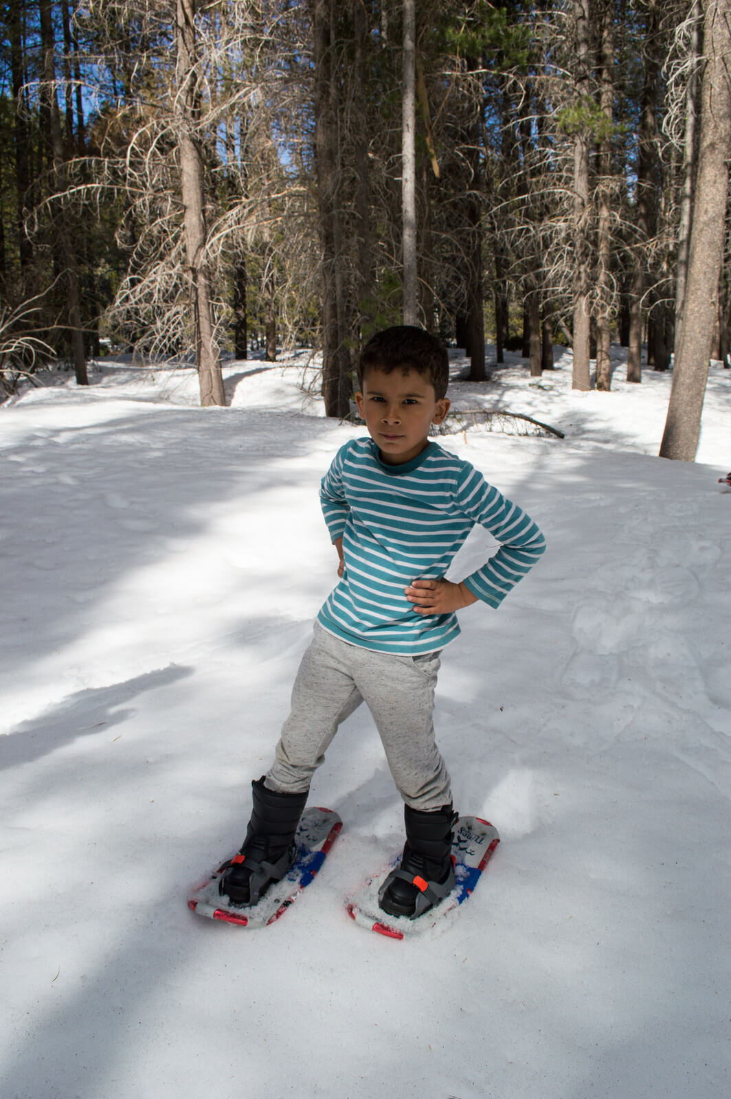 Where to snowshoe with kids Tahoe | This Is My Happiness.com