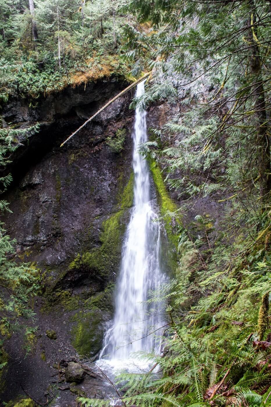 Marymere Falls hike Olympic National Park