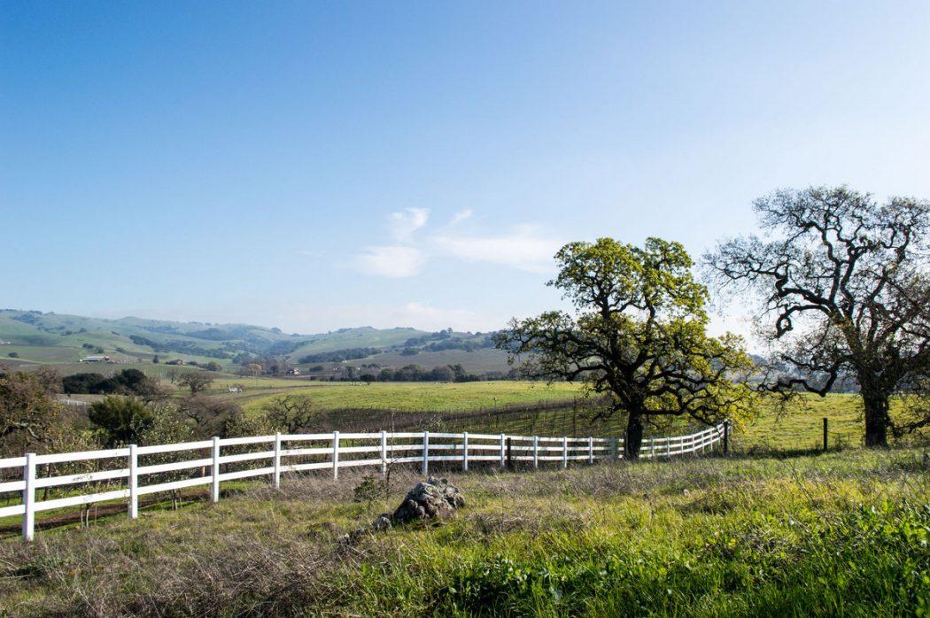 California Wine Country For Families