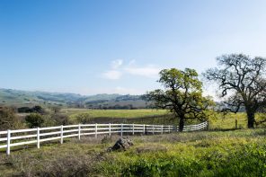 What to do with kids in Napa and Sonoma