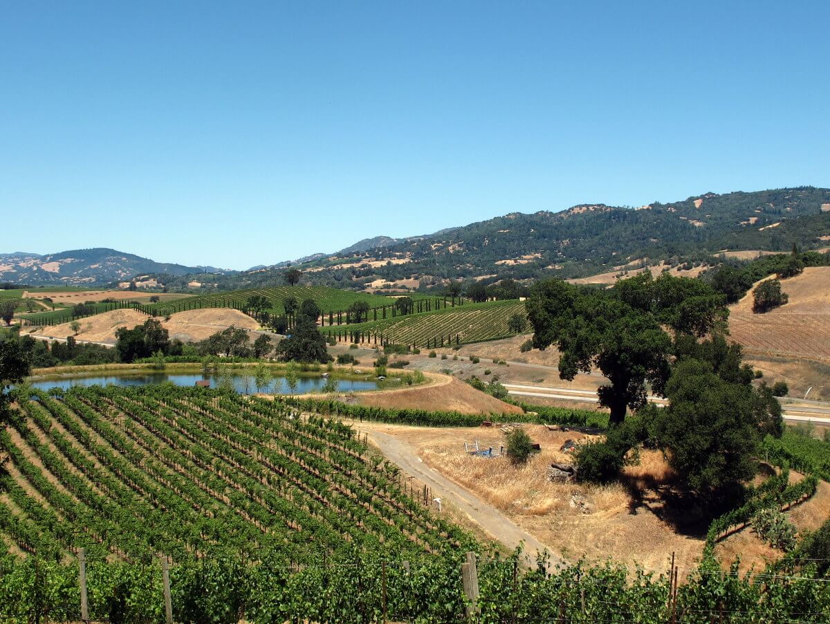 California wine country for families