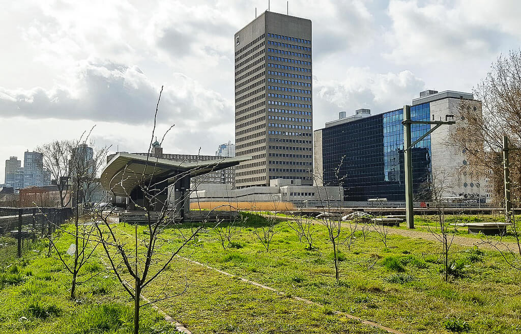 What is it like to live in Rotterdam