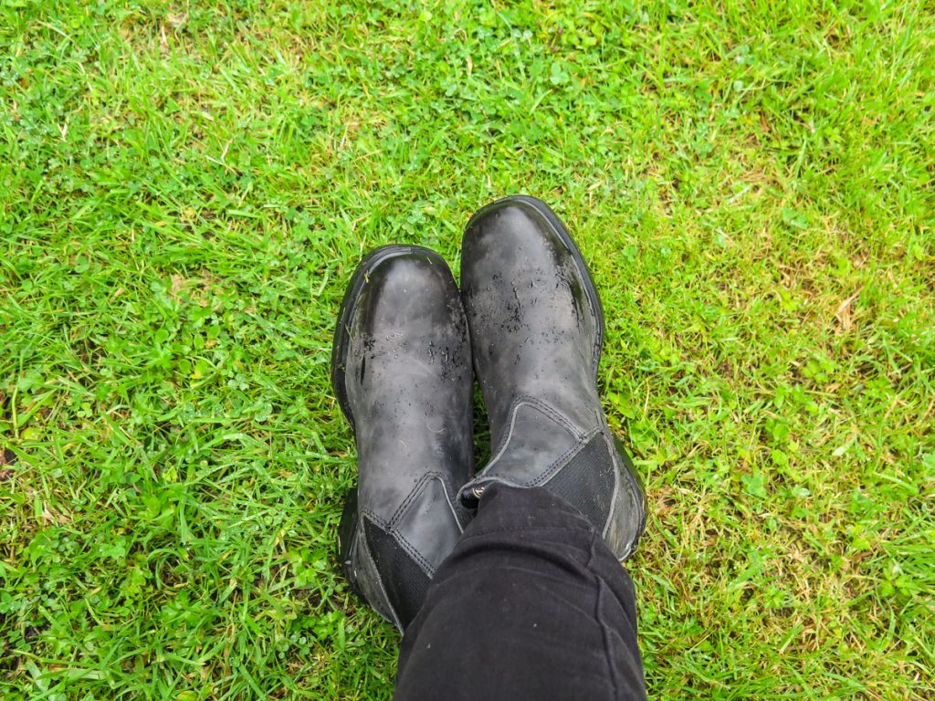 blundstones for hiking