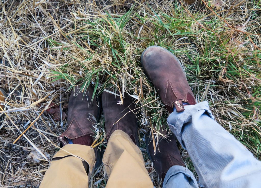 blundstones good for hiking